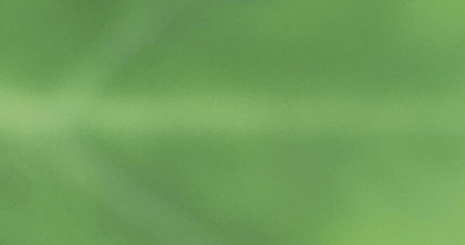 Bokeh abstract blurred nature tree green refreshing background suitable for text fill graphic design decorative agriculture photo