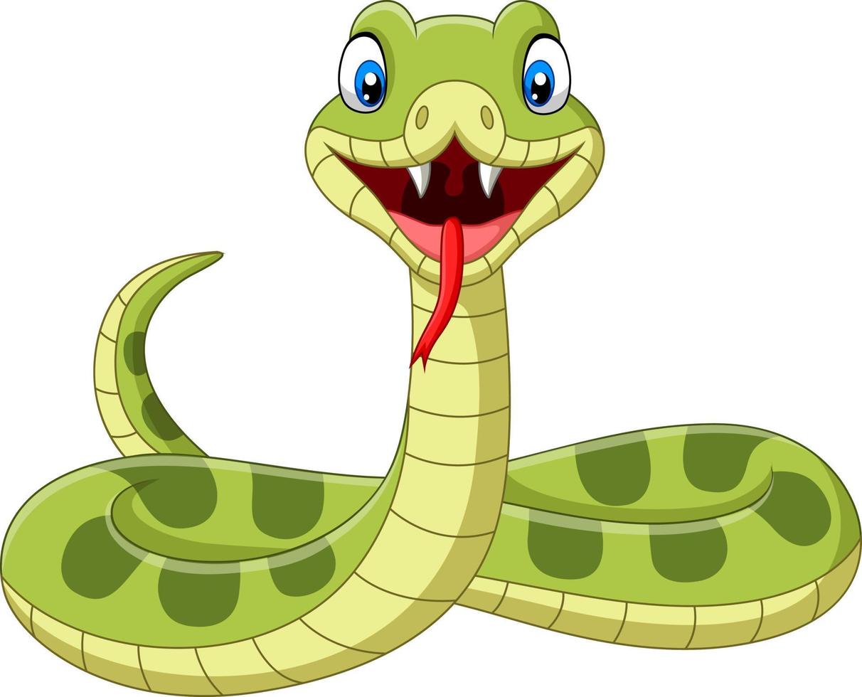 Cute green snake cartoon on white background vector