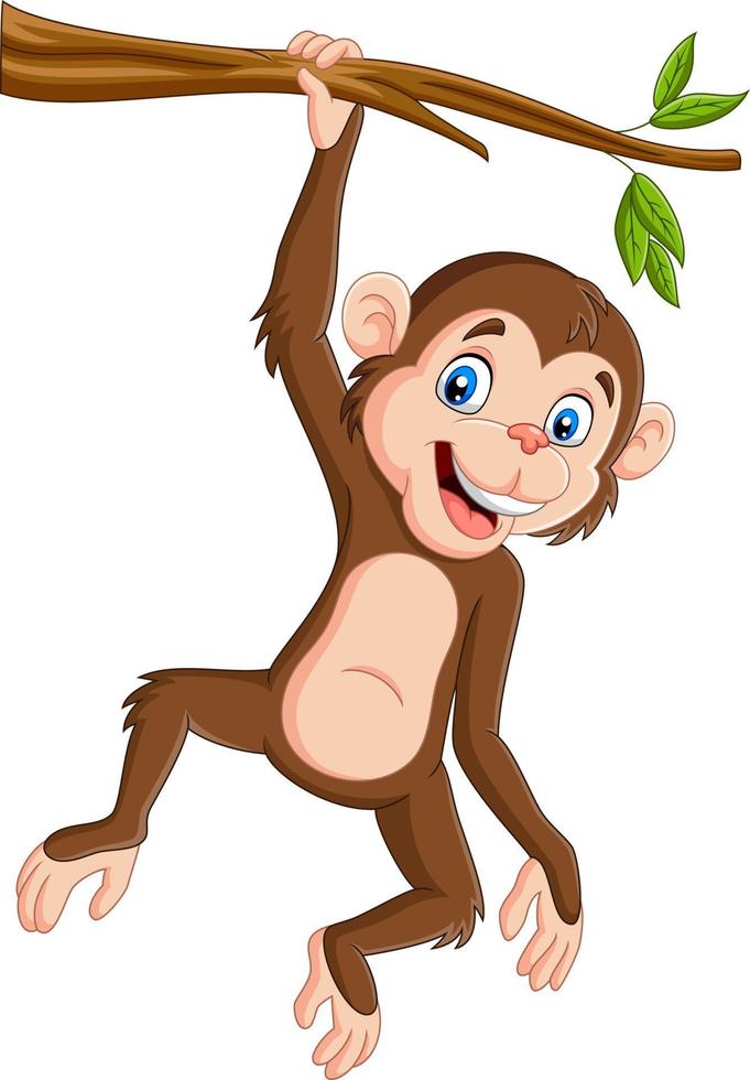 Cartoon monkey hanging in tree branch vector