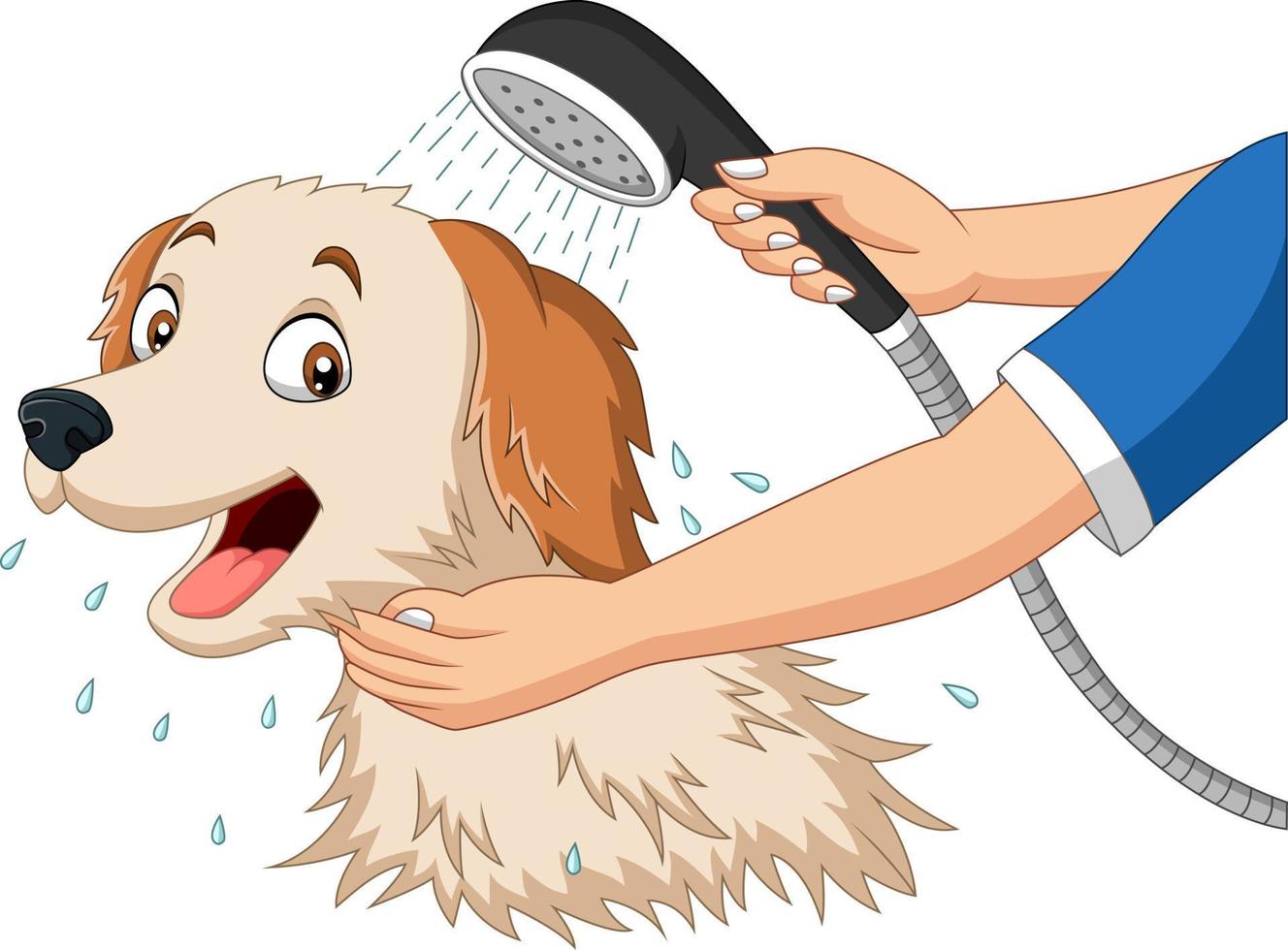 Cartoon dog bathing with shower vector
