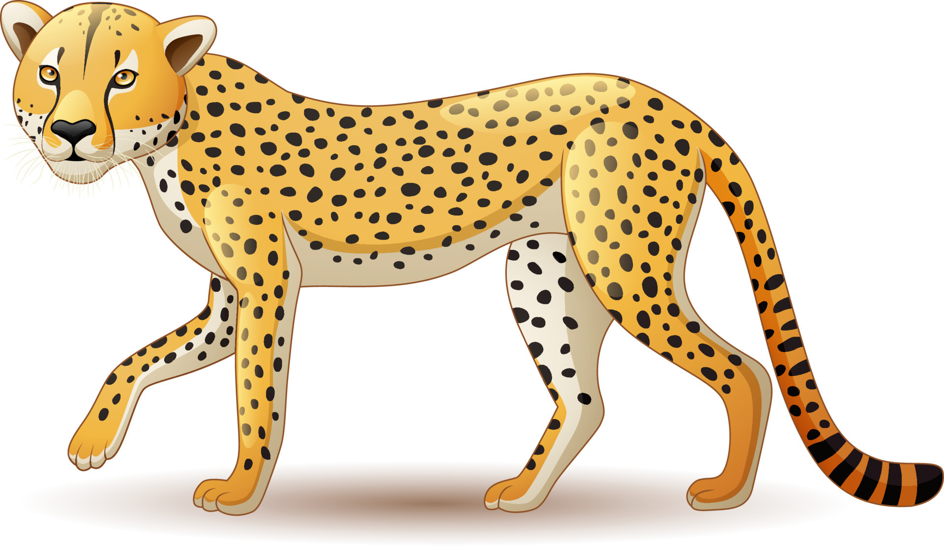 Cartoon Cheetah isolated on white background 8389786 Vector Art at Vecteezy Cartoon Cheetah isolated on white background 8389786 Vector Art at Vecteezy