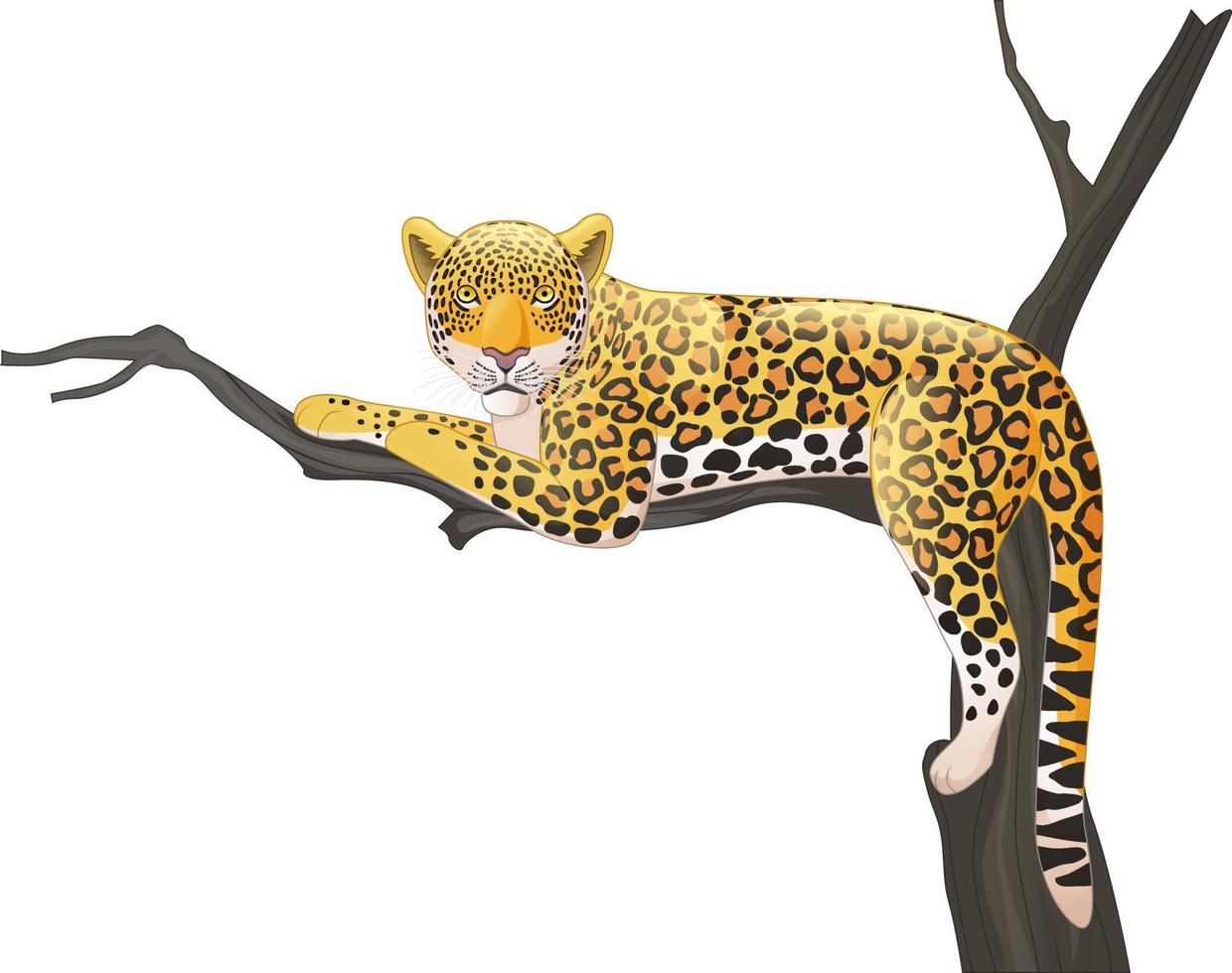 leopardo de dibujos animados acostado en una rama de árbol vector