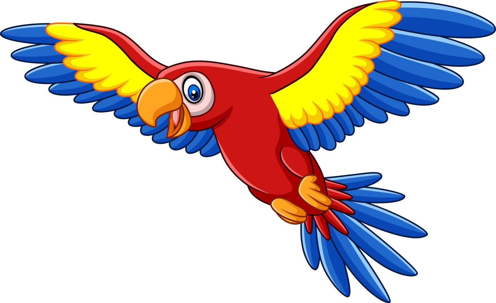 Cartoon funny macaw flying vector