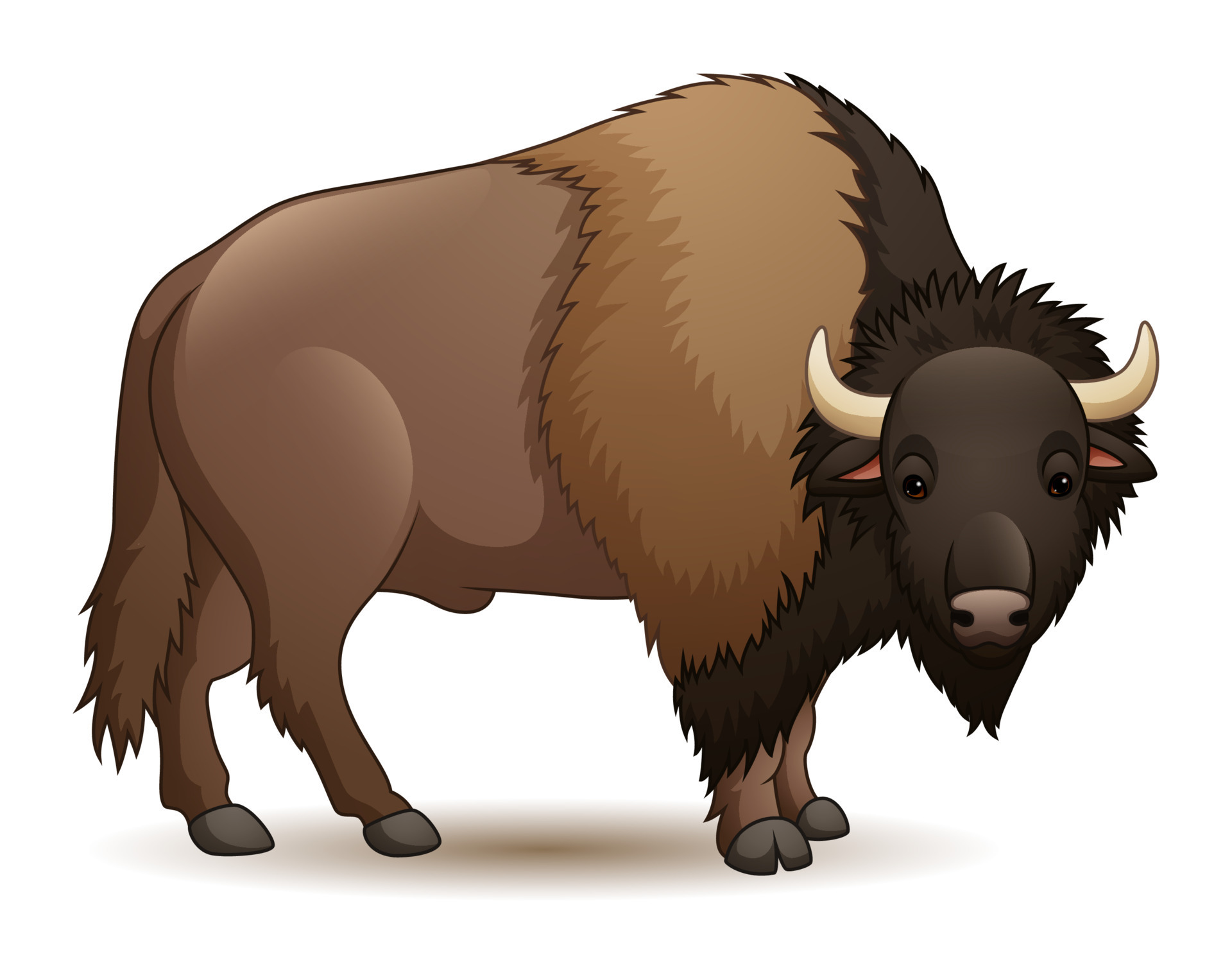 Bisonte De Dibujos Animados Aislado Sobre Fondo Blanco 8389879 Vector En Vecteezy