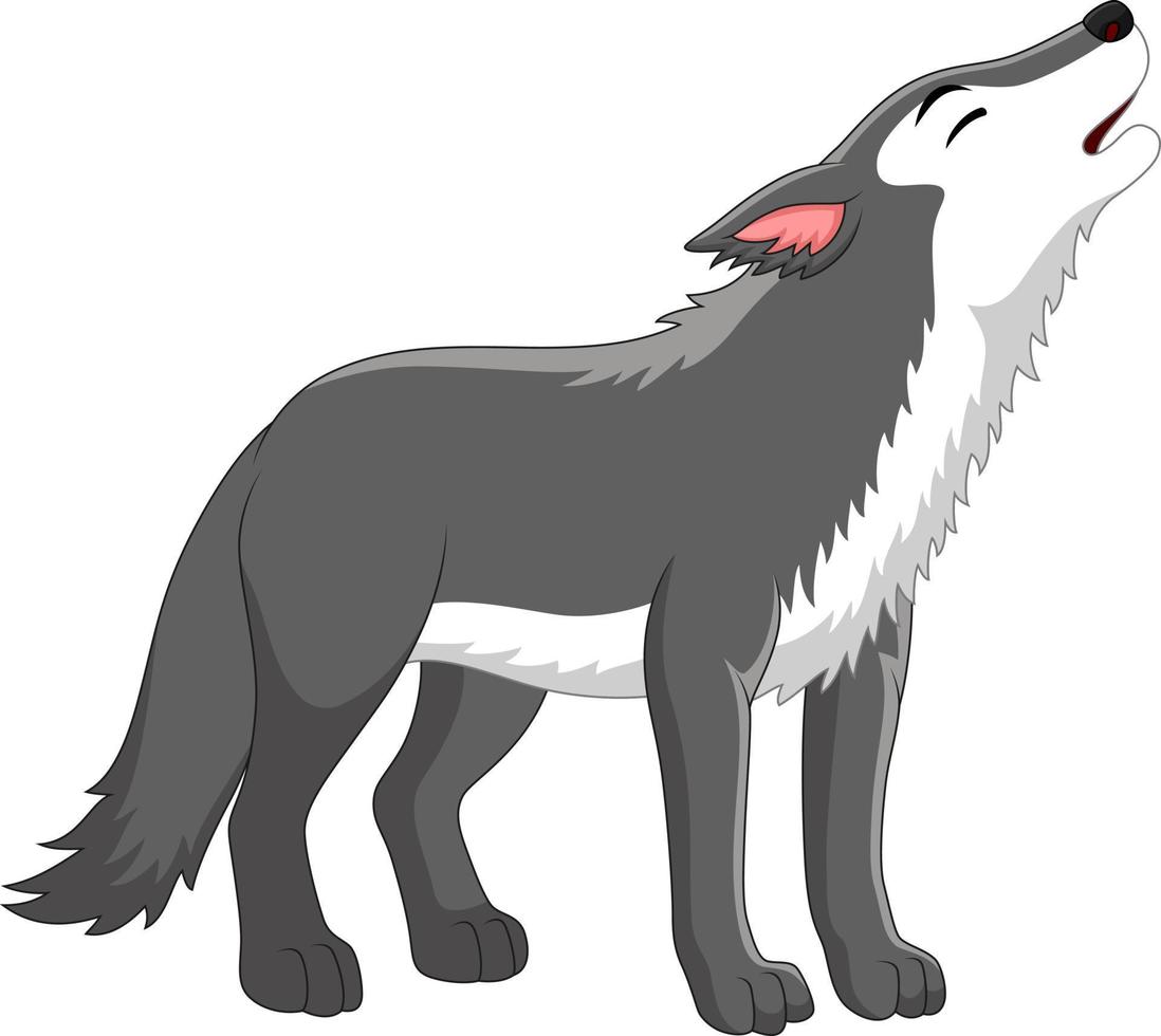 Cartoon wolf howling on white background vector