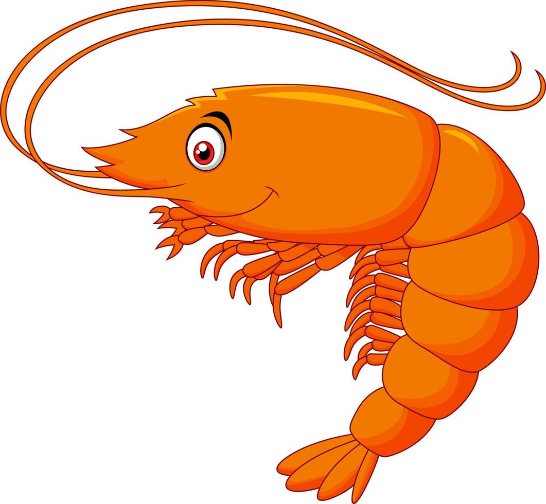 Cute shrimp cartoon vector