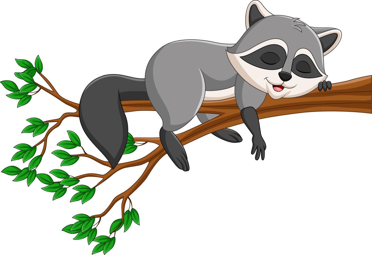 Cartoon raccoon sleeping on the tree branch vector