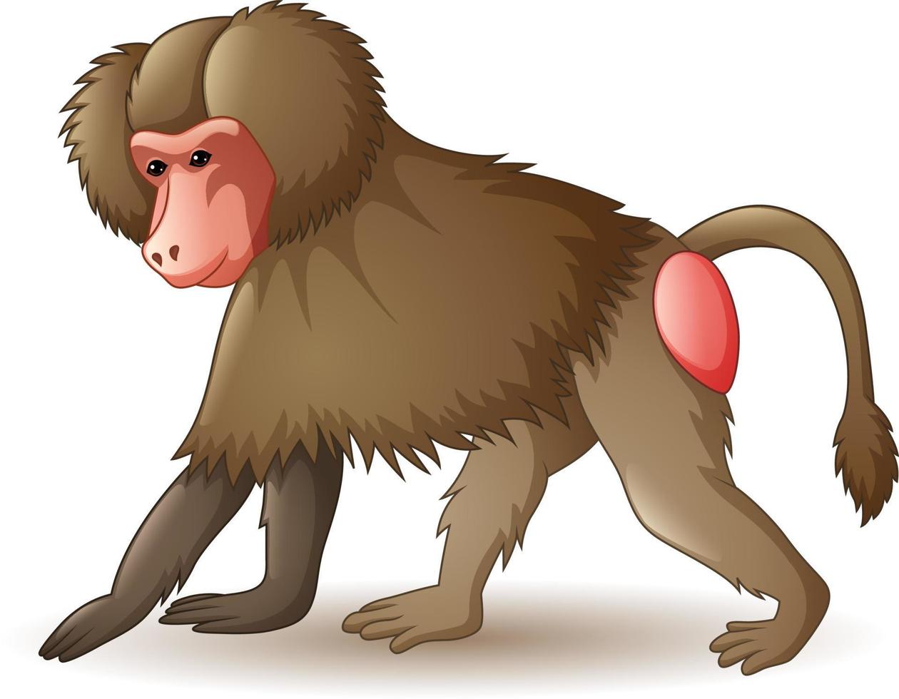 babuino de dibujos animados aislado sobre fondo blanco vector