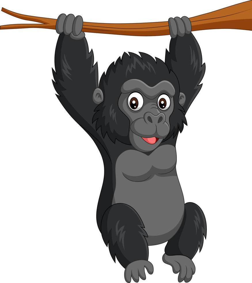 gorila bebé de dibujos animados colgando en la rama de un árbol vector