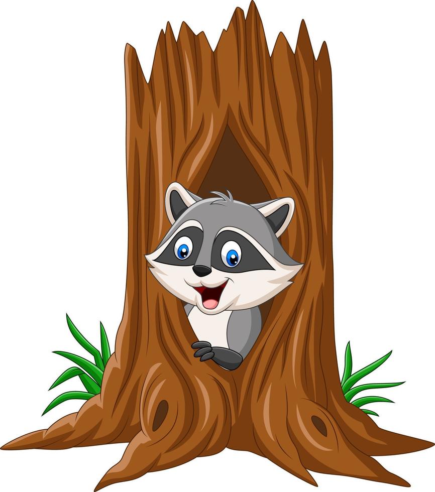 Cartoon raccoon inside hollow of a tree vector