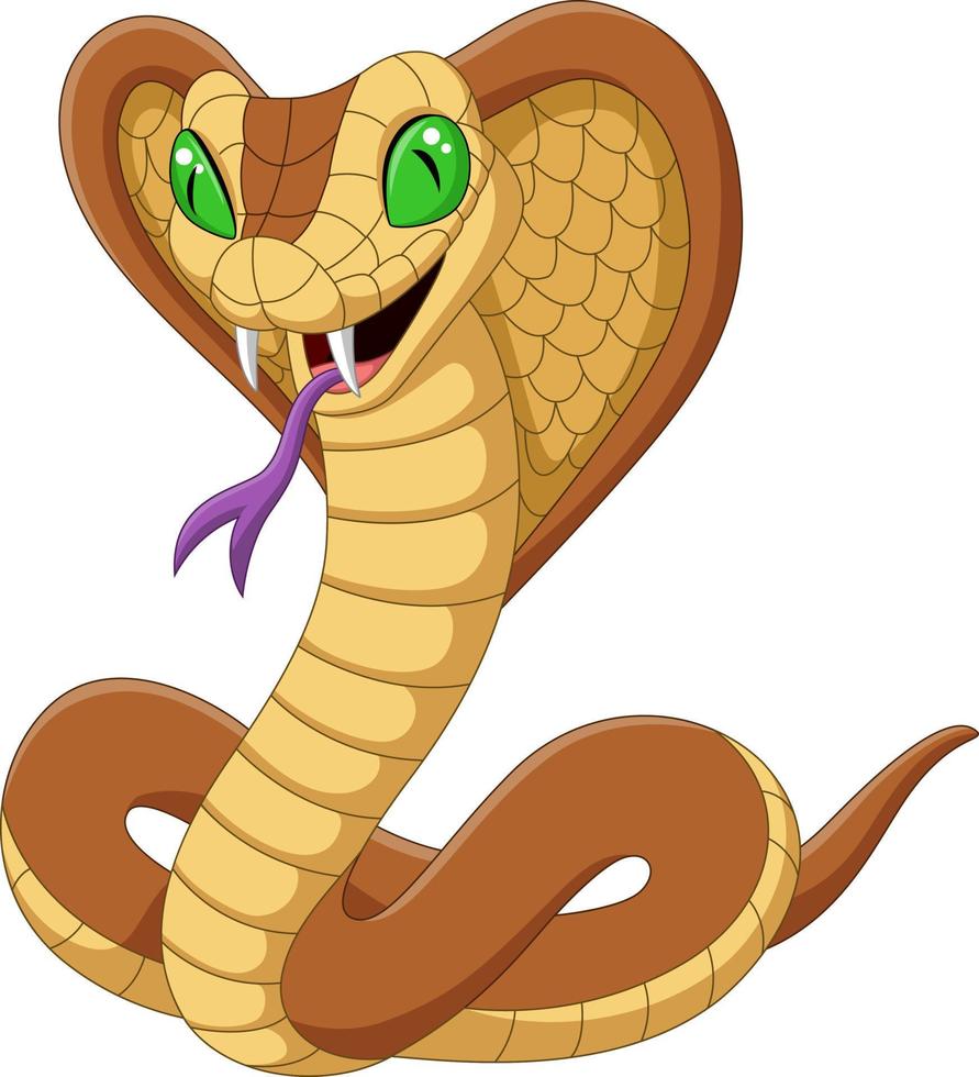 Cartoon king cobra snake on white background vector