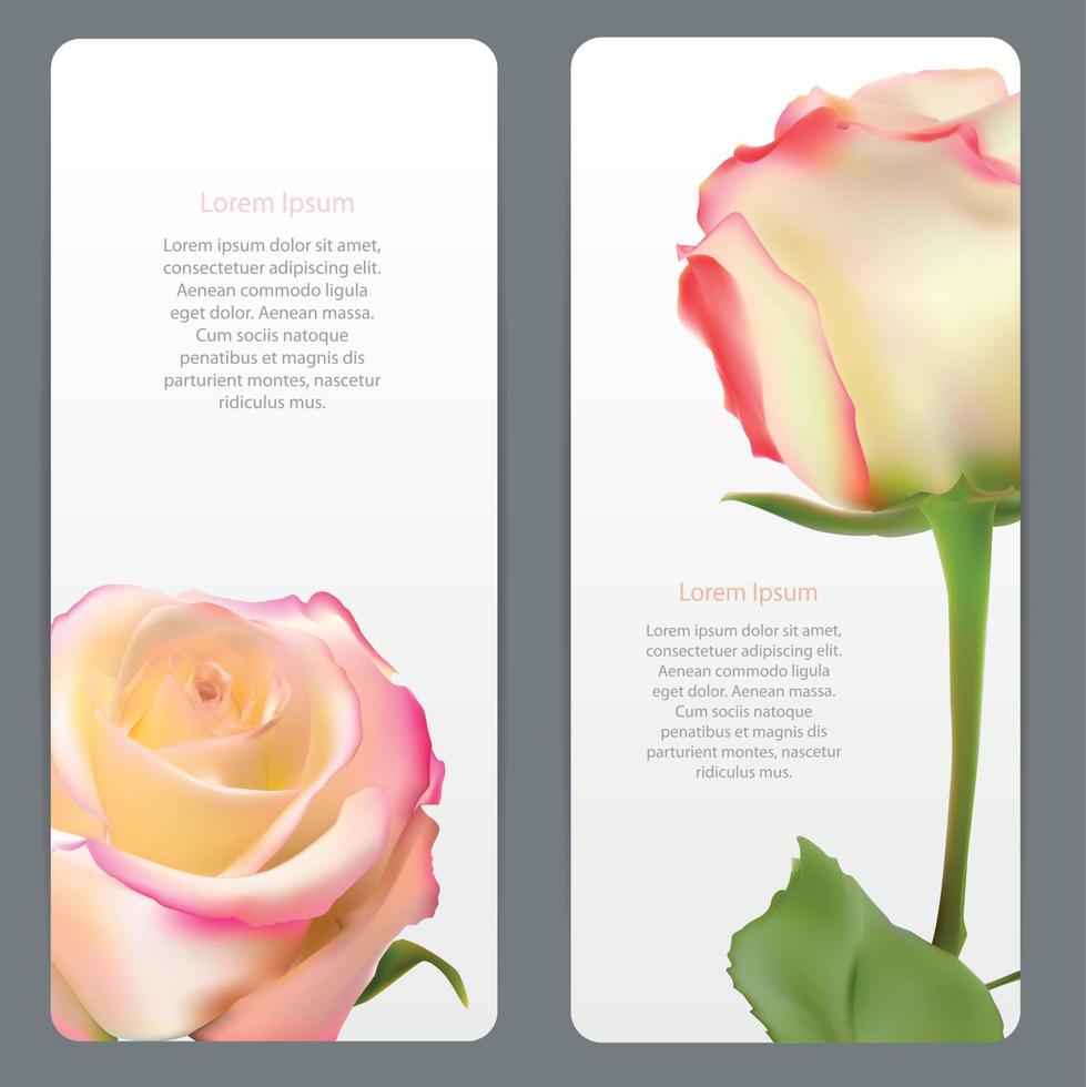 Beautiful Floral Cards with  Realistic Flowers Rose and Lilly Vector Illustration