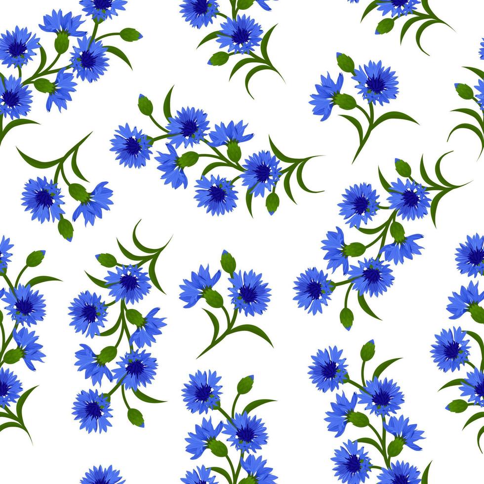 Vector seamless pattern with blue cornflowers on white. Can be used for fabric, textile, scrapbooking, gift wrapping paper.