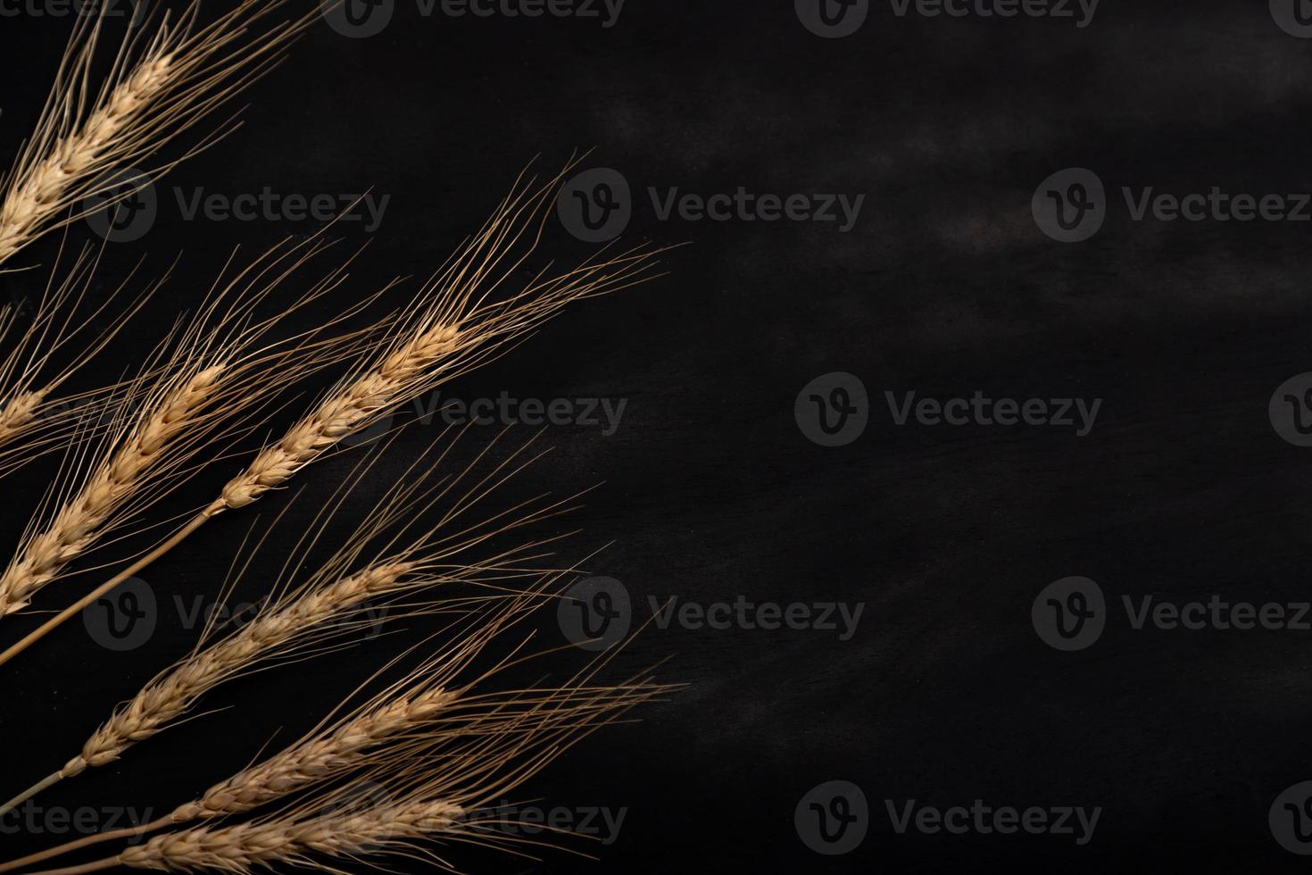 Wheat on the black background and texture photo