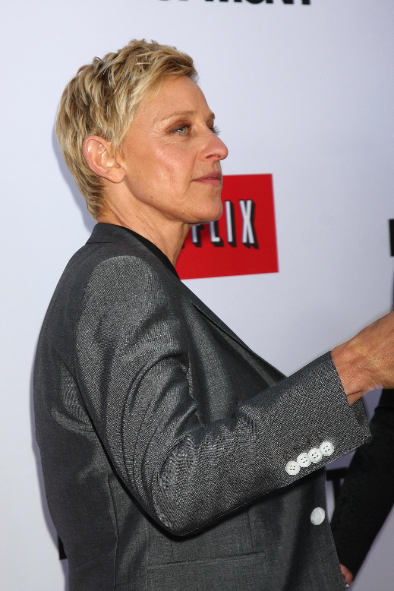 LOS ANGELES, APR 29 - Ellen DeGeneres arrives at the Arrested