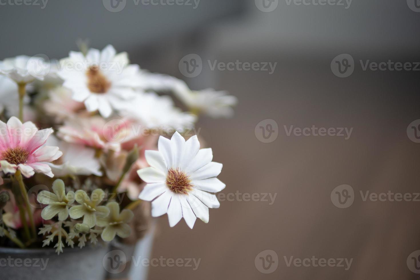 Close up white flowers on the wooden table with pollen photo