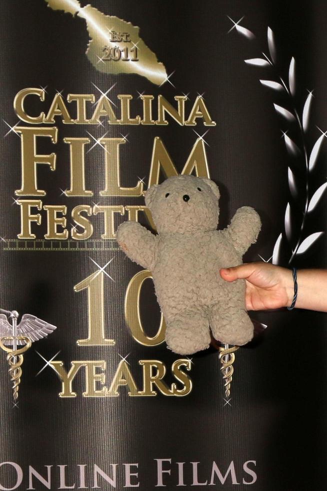 LOS ANGELES  SEP 26 - Oatmeal at the Catalina Film Festival Drive Thru Red Carpet, Saturday at the Scottish Rite Event Center on September 26, 2020 in Long Beach, CA photo