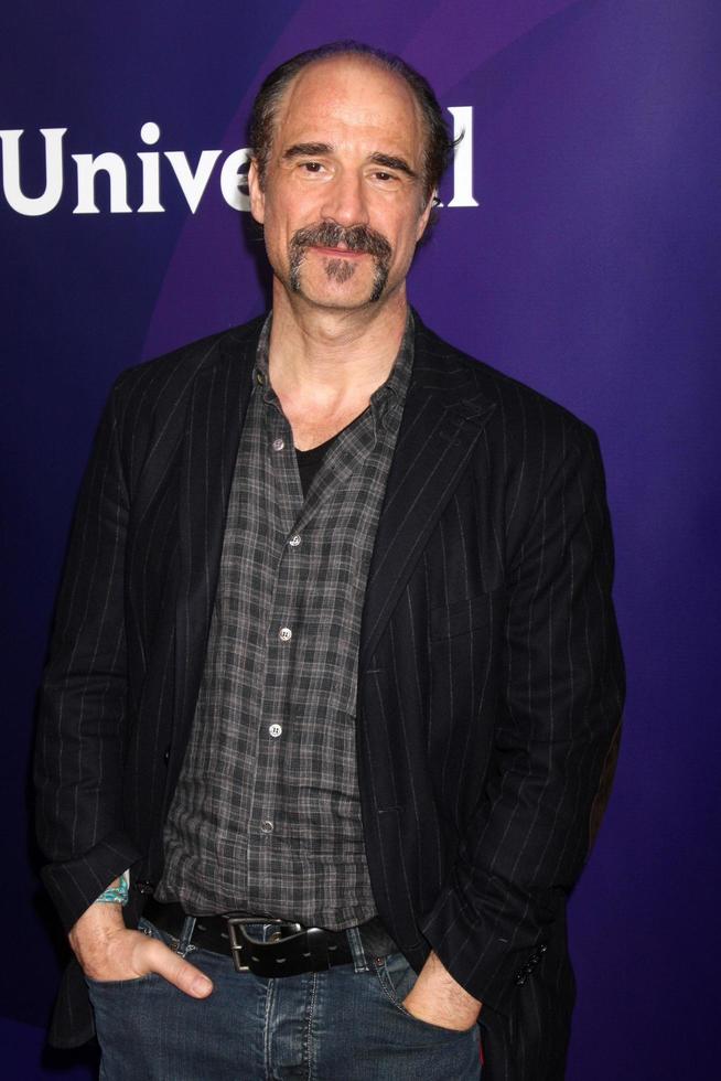 PALM SPRINGS, JAN 19 - Elias Koteas at the NBC TCA 2014 Winter Press Tour at The Langham Huntington Hotel on January 19, 2014 in Pasadena, CA photo