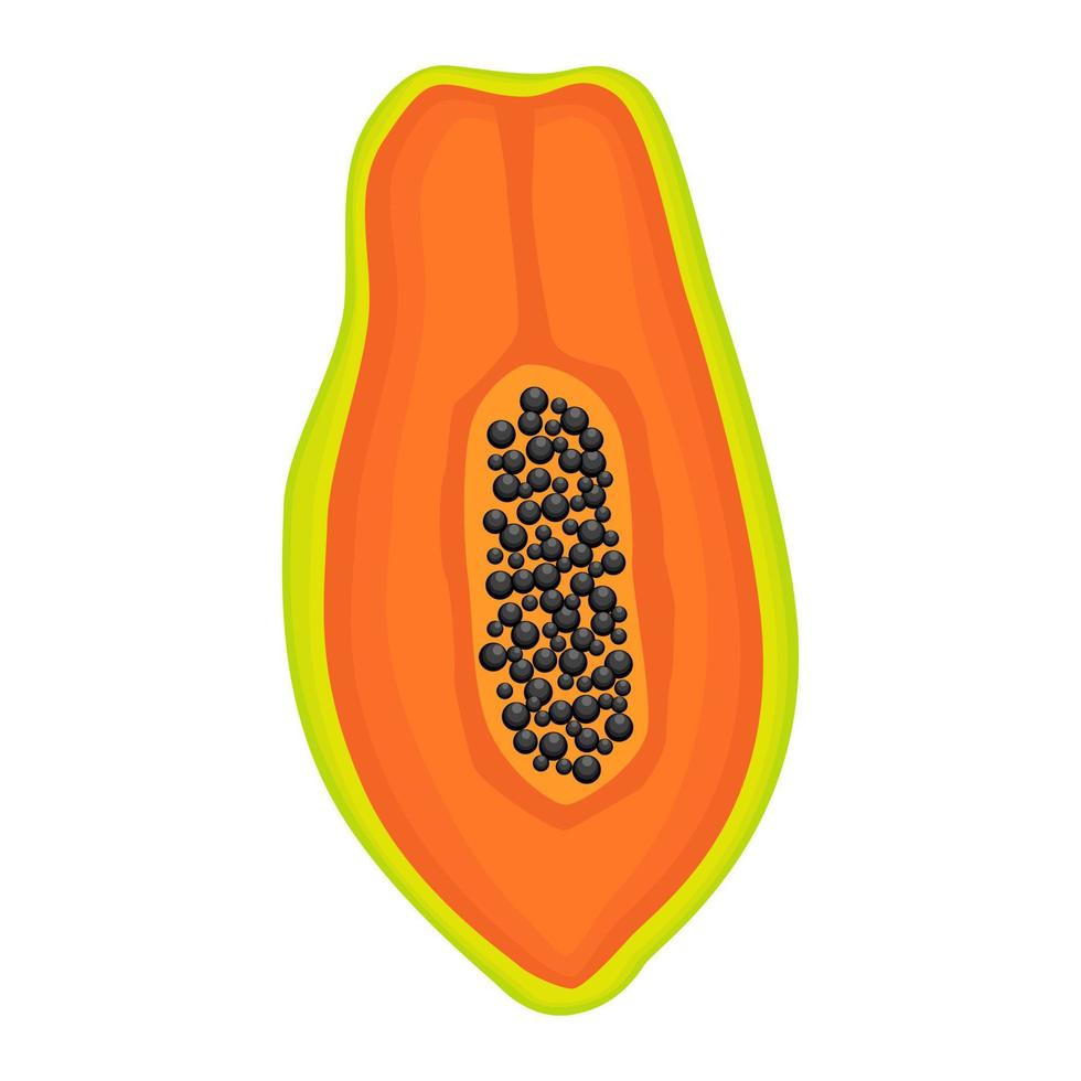 Exotic papaya vegan fruit vector flat isolated illustration