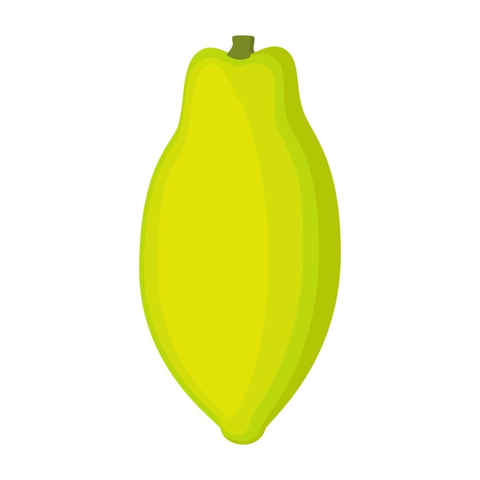 Exotic papaya vegan fruit vector flat isolated illustration