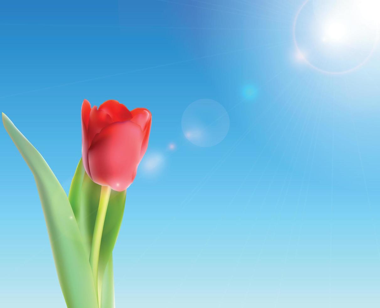 Beautiful Pink Tulips Against Shiny Sky Vector Illustration