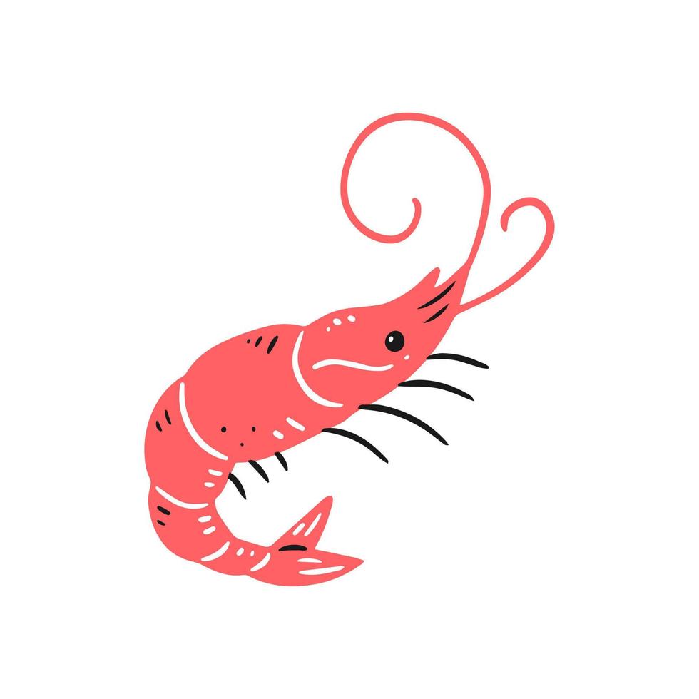 Pink shrimp in doodle style. Vector isolated animal illustration.