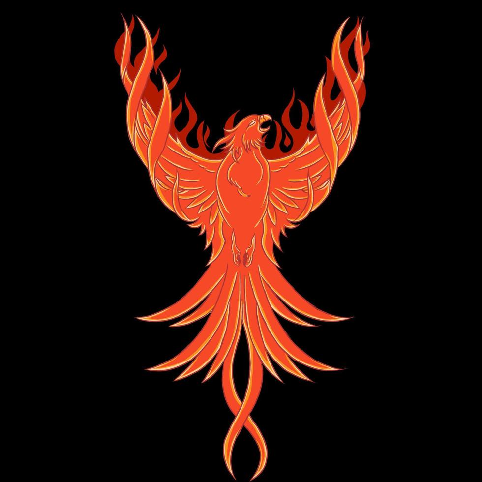 ilustración vectorial gráfico de phoenix rojo vector