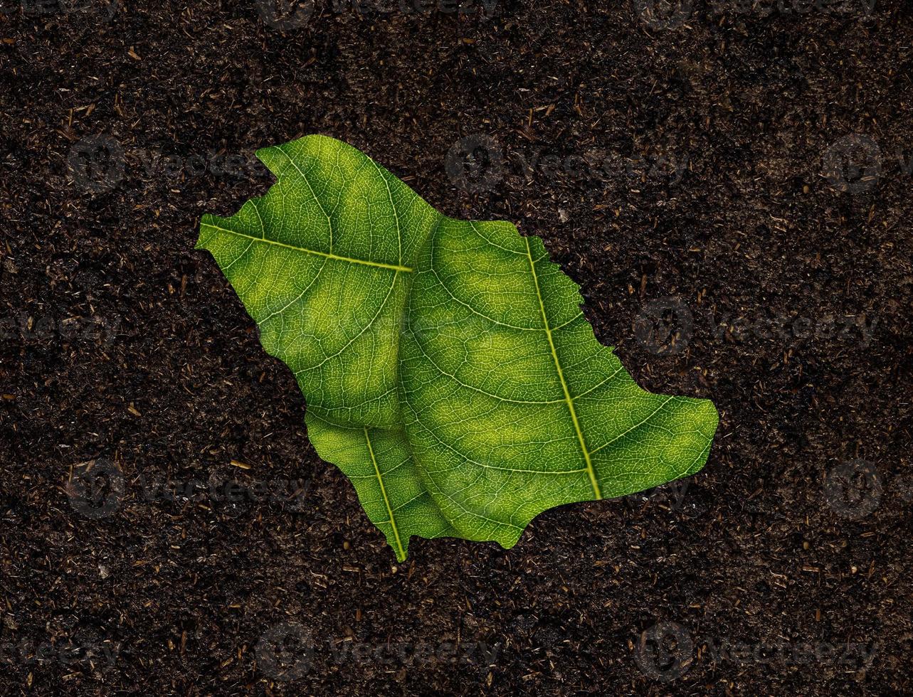 Saudi Arabia map made of green leaves on soil background ecology concept photo