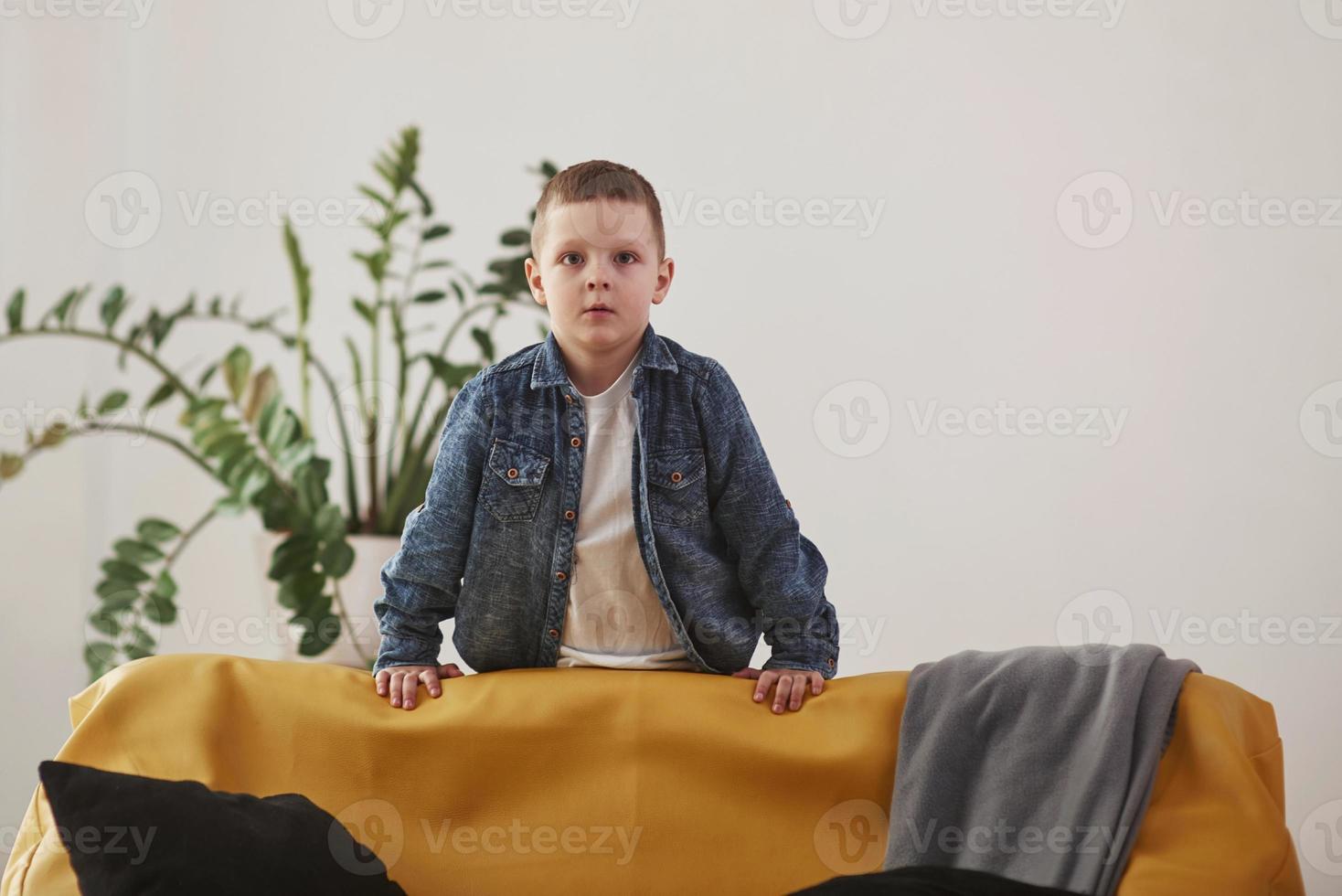 Child stands in the living room near the yellow sofa and green plant. White background photo