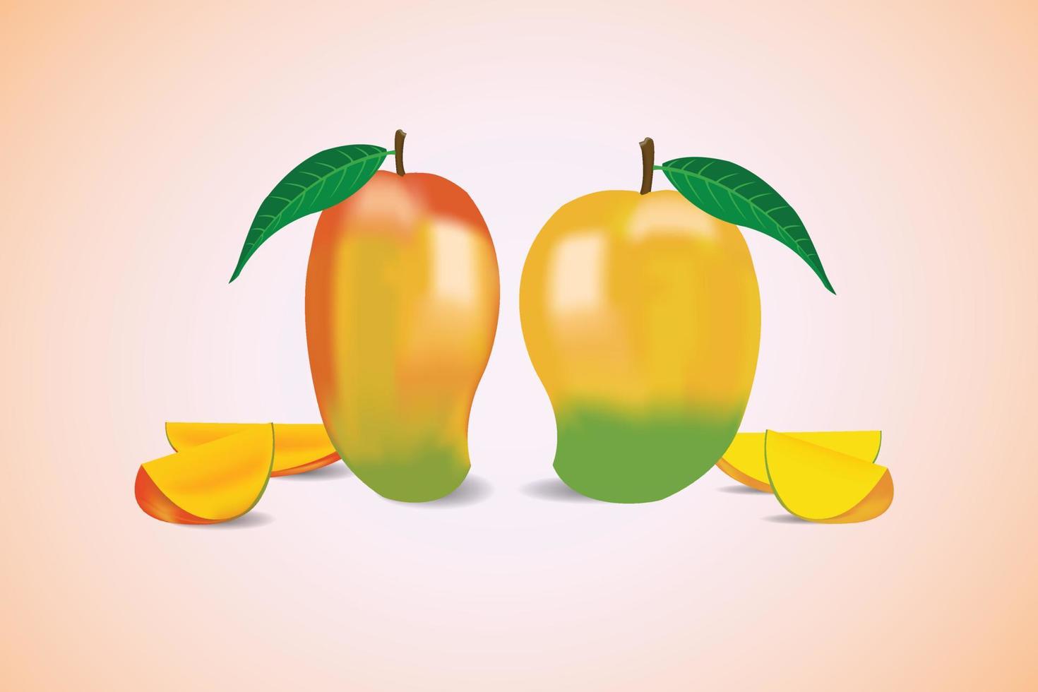 Fresh mango with mango slice and leaves vector