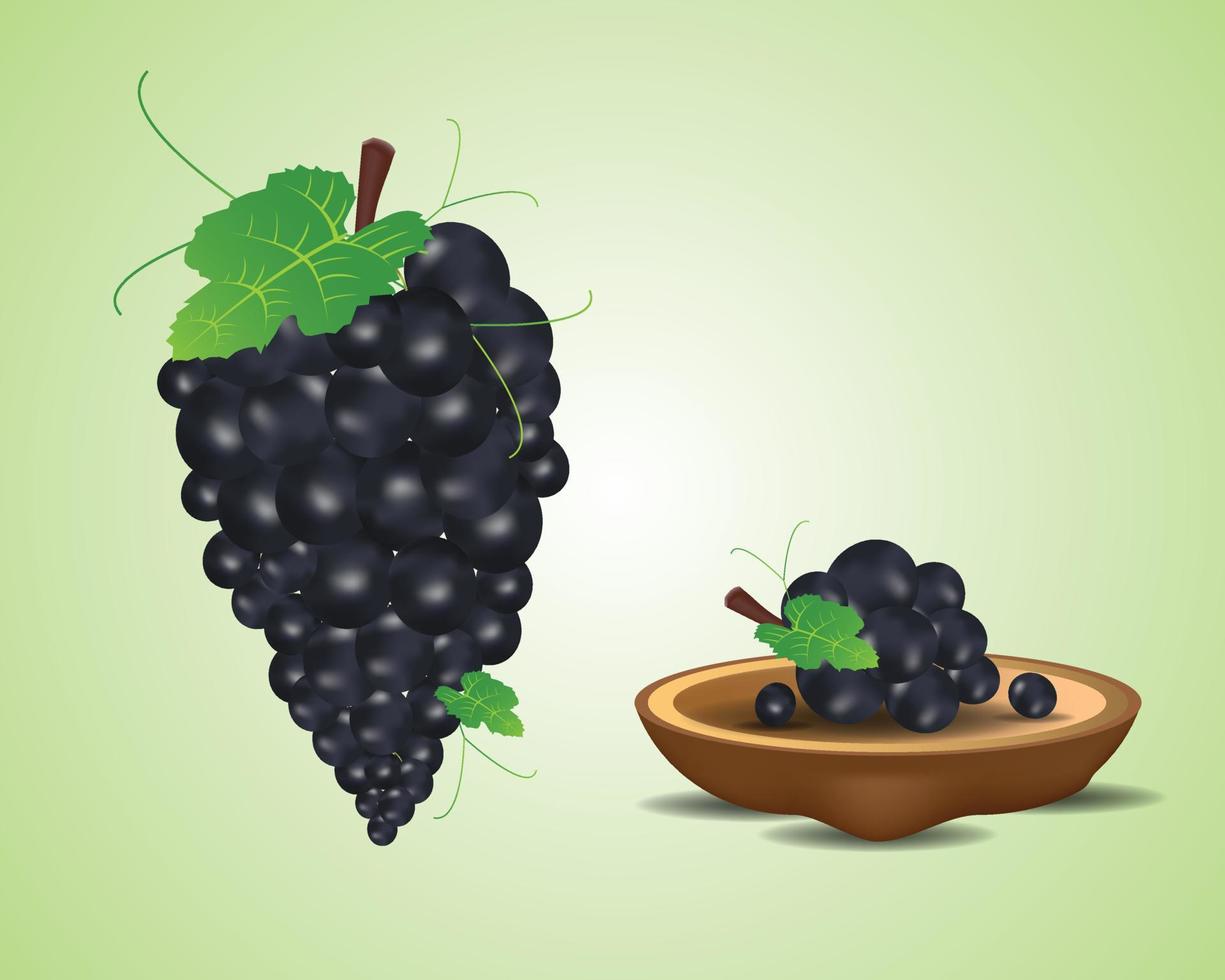 Fresh black grape with green leaf isolated white background vector