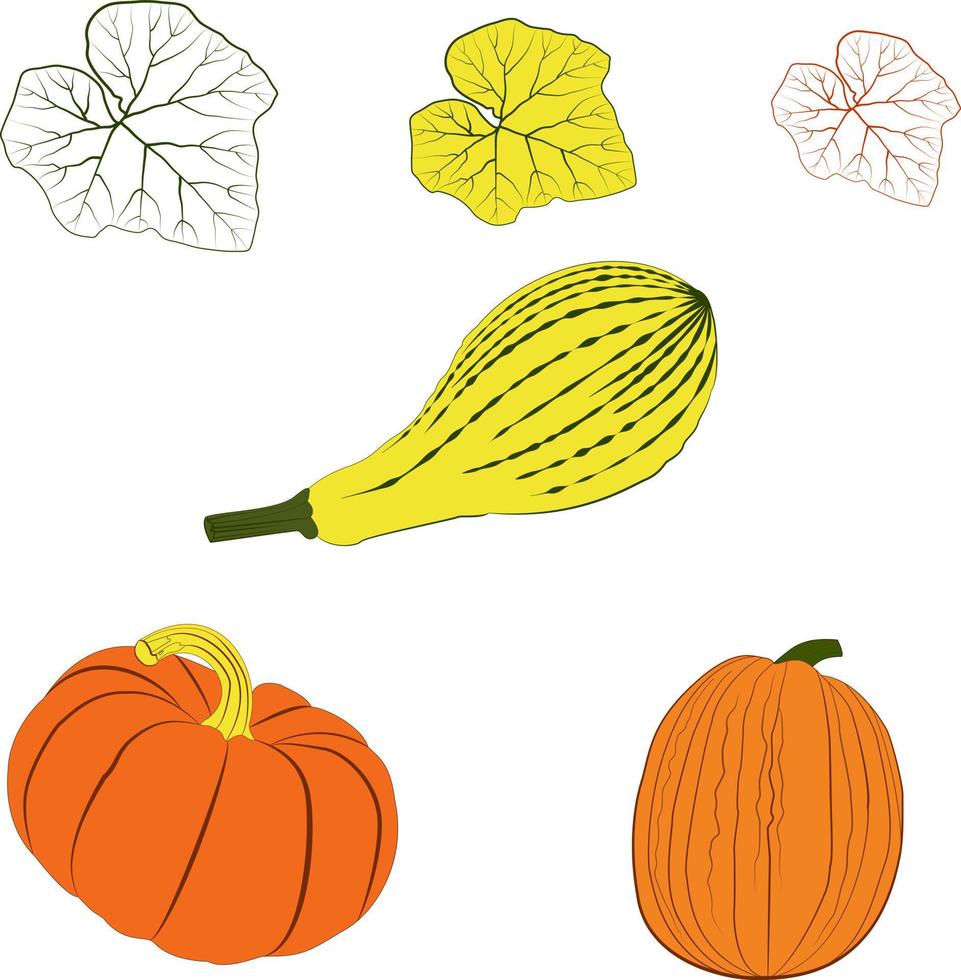 conjunto de otoño de verduras y hojas vector