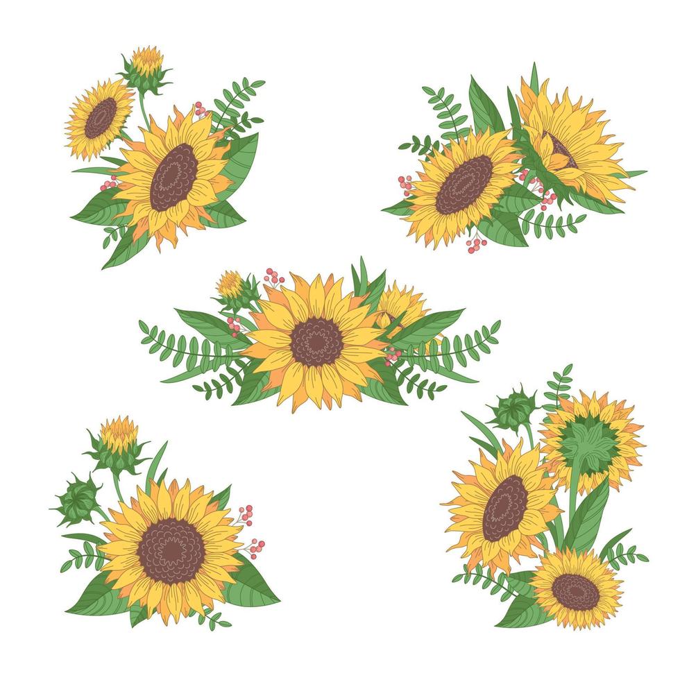 Cartoon Sunflowers Collection vector