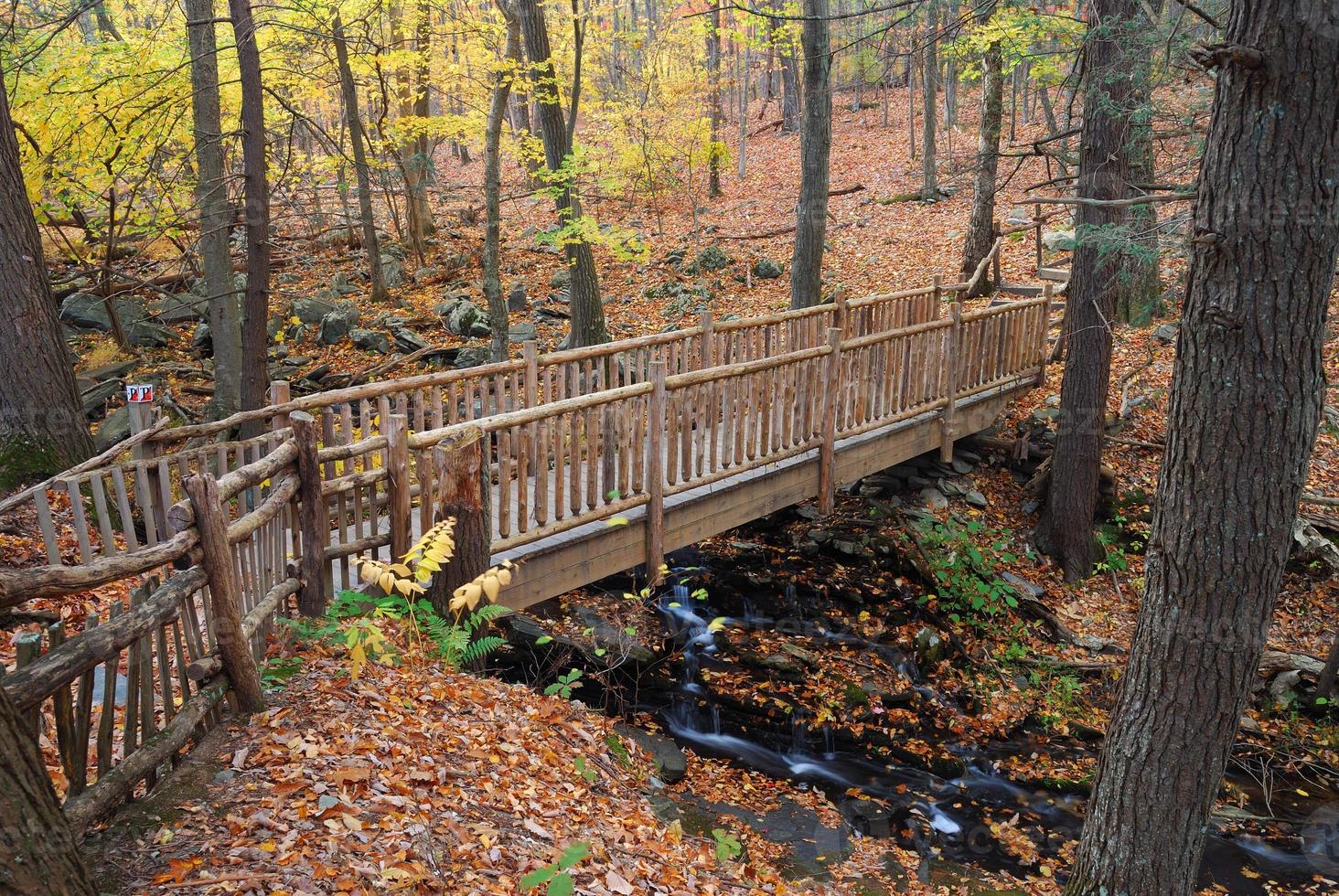 Autumn Bridge view photo