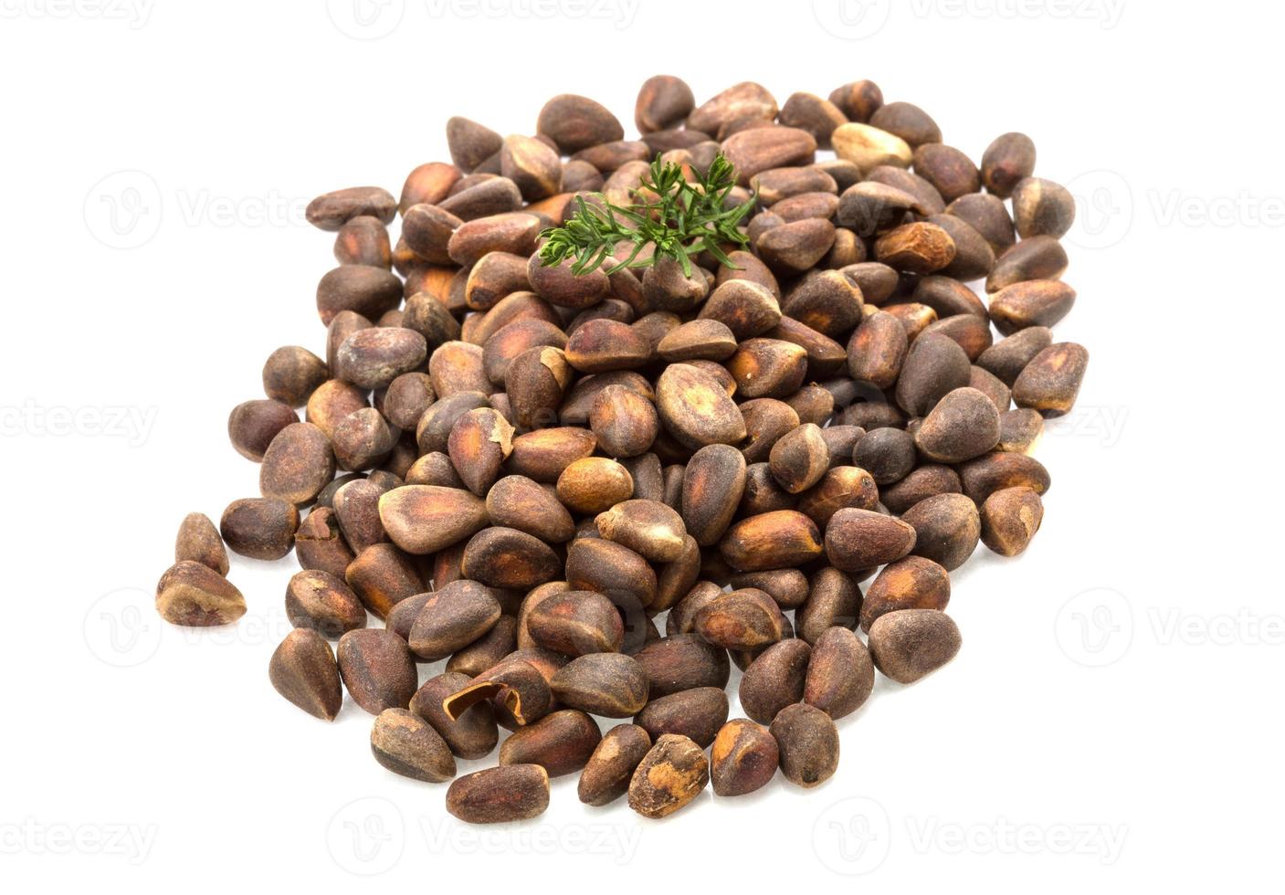 Cedar nut heap photo