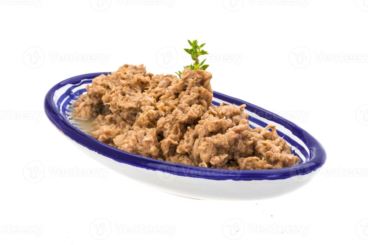 Canned Tuna fillet photo
