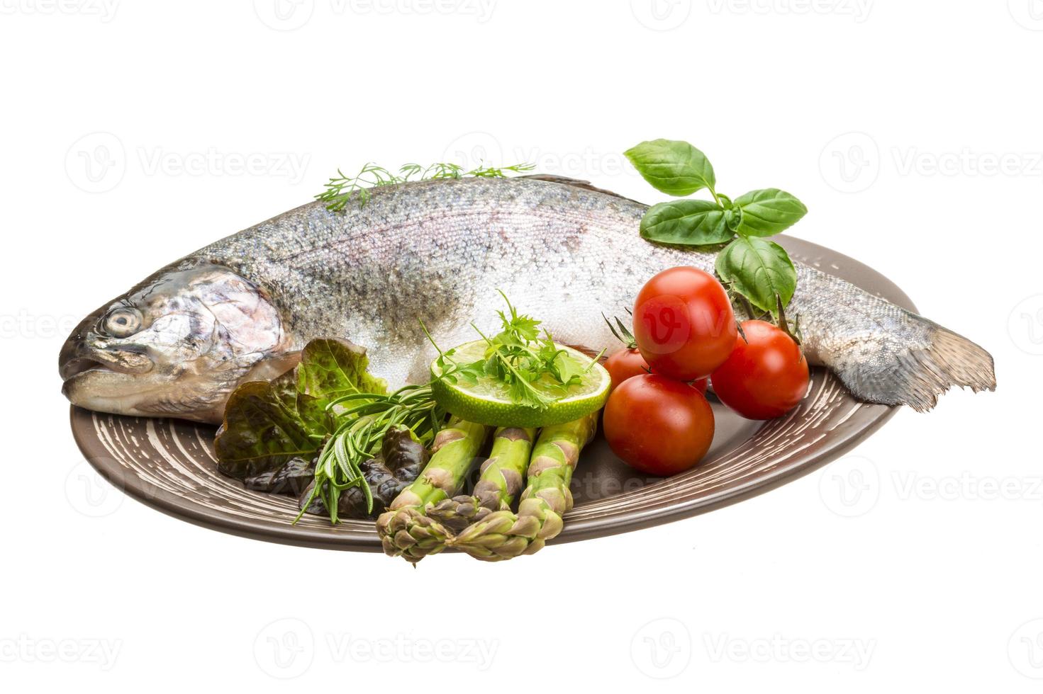 Fresh raw rainbow trout photo