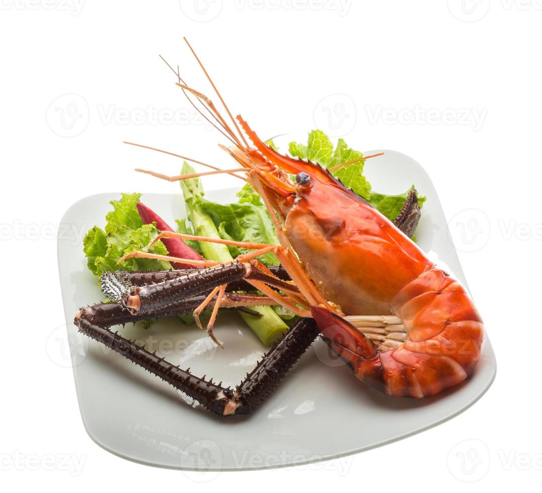 Giant Freshwater Prawn photo