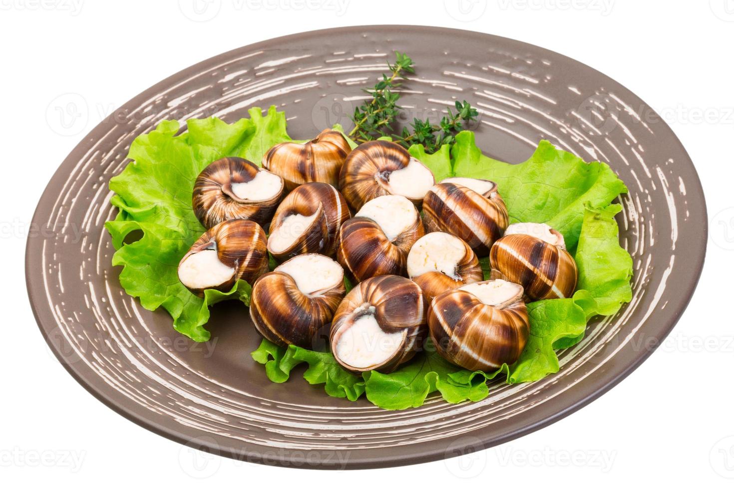 caracoles caracoles en un plato foto
