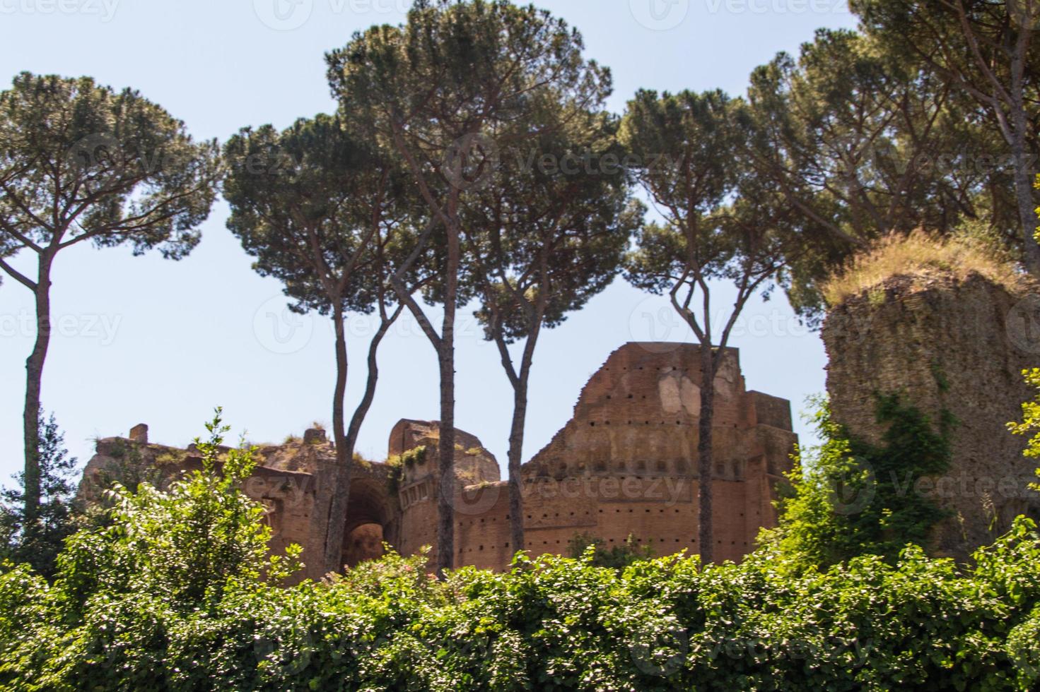 Roman ruins in Rome, Forum photo