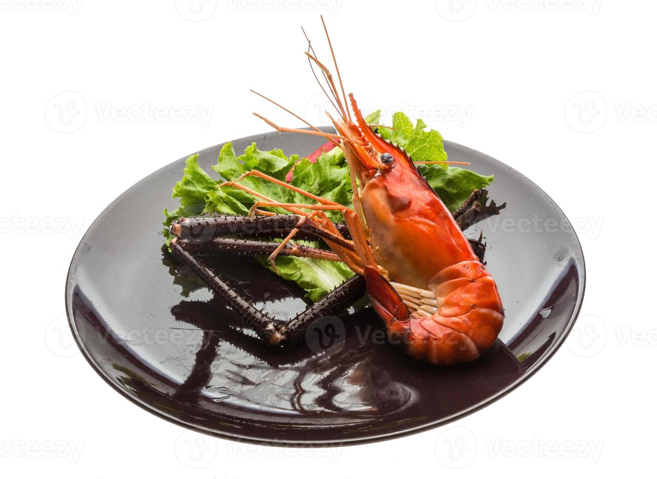 Giant Freshwater Prawn photo
