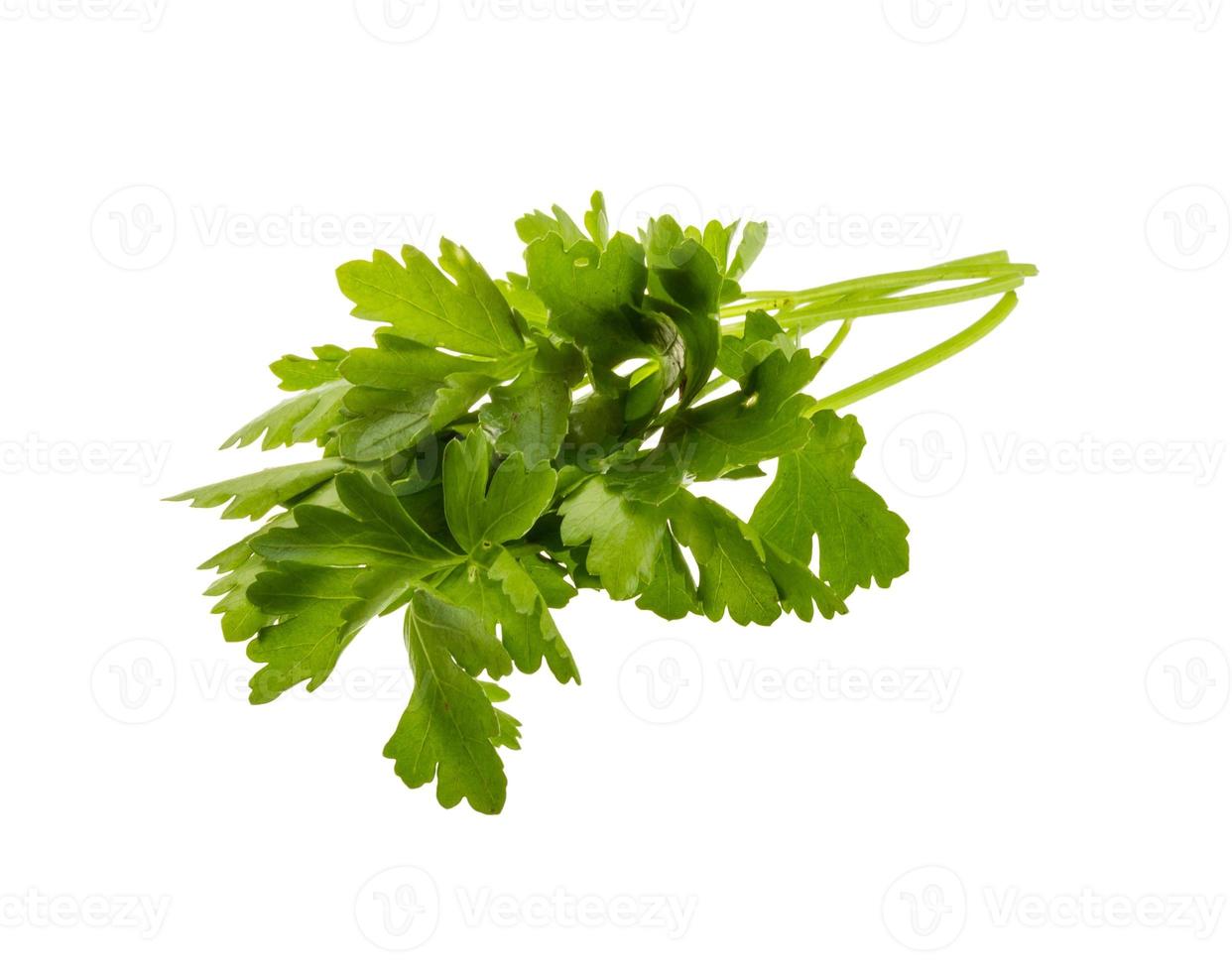 Parsley on white photo