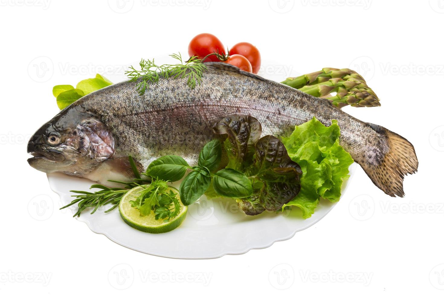 Fresh raw rainbow trout photo