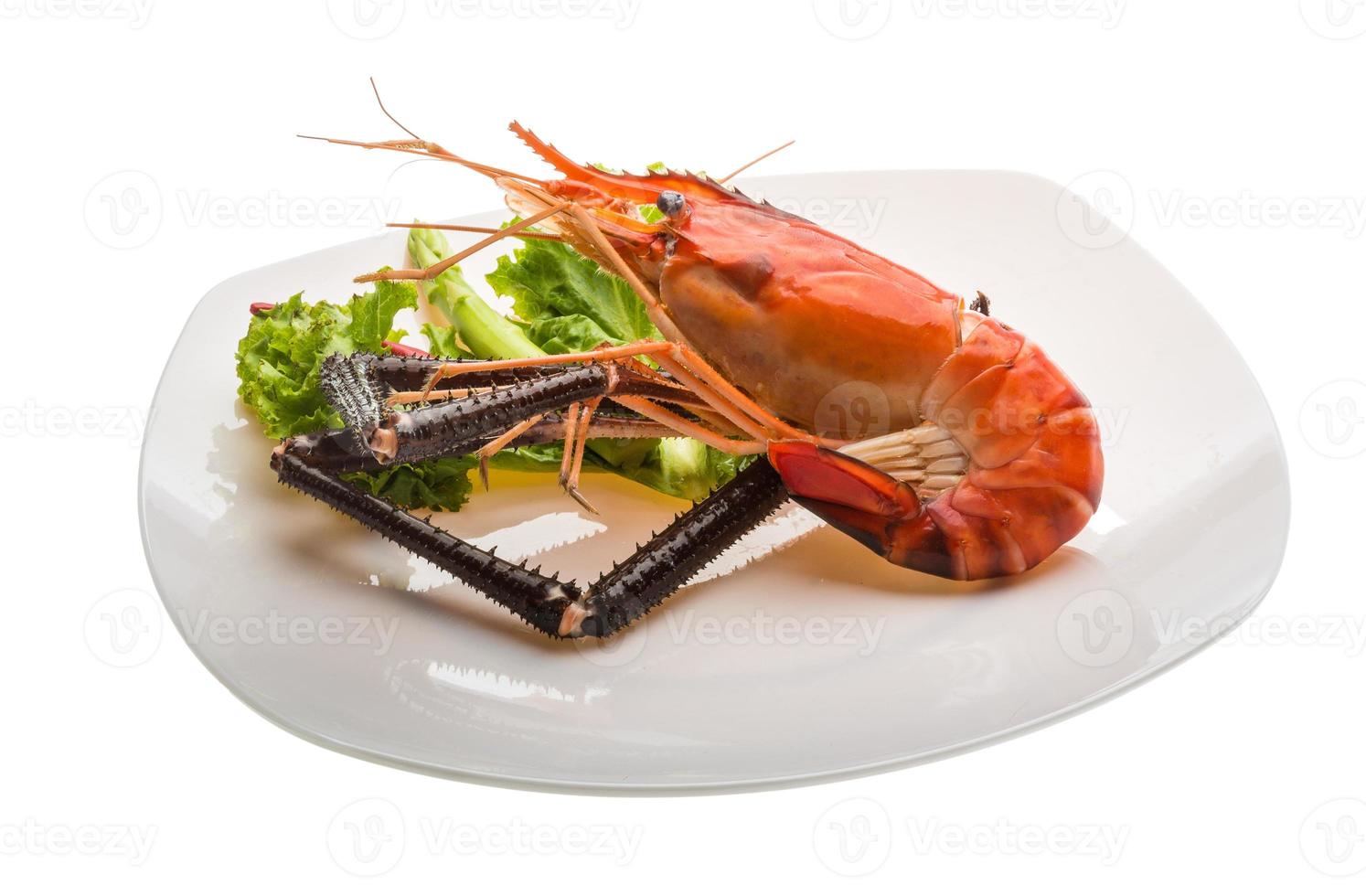 Giant Freshwater Prawn photo