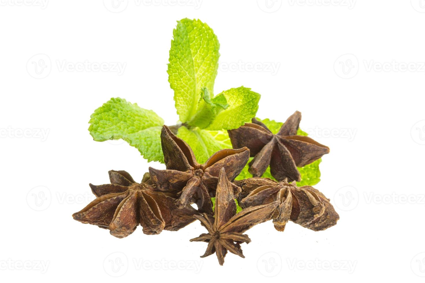Star Anise and Mint photo