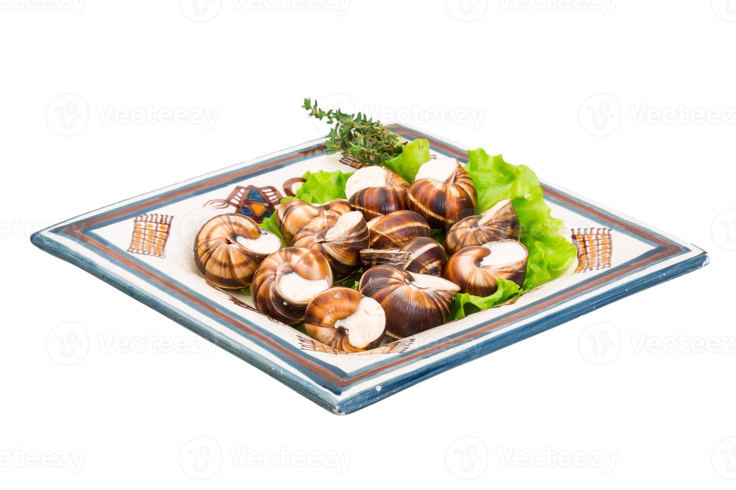 Escargot snails on a plate photo