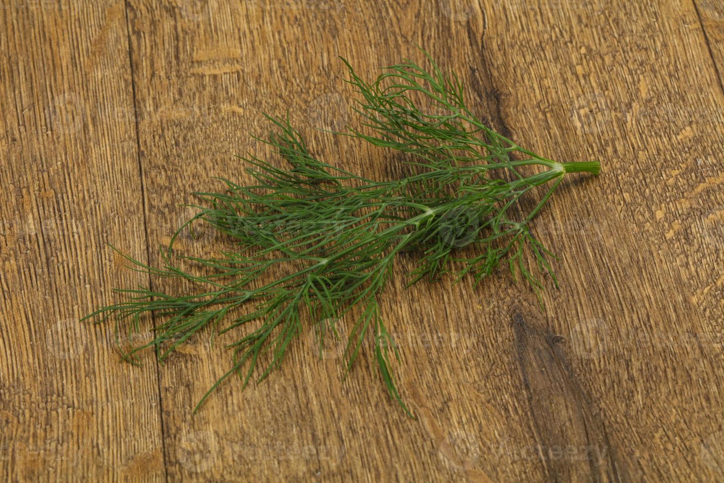 Fresh green dill herb branch photo