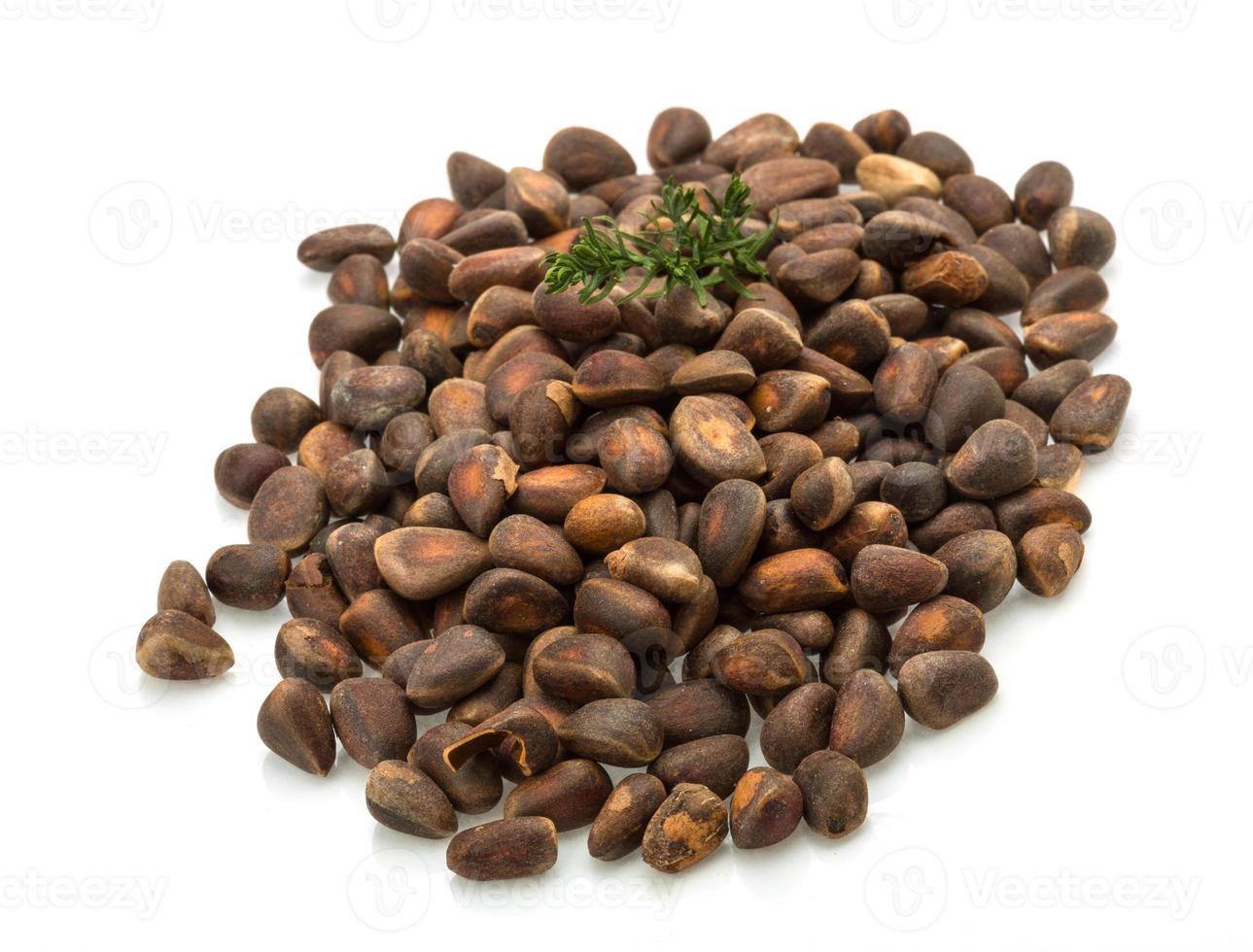 Cedar nut heap photo
