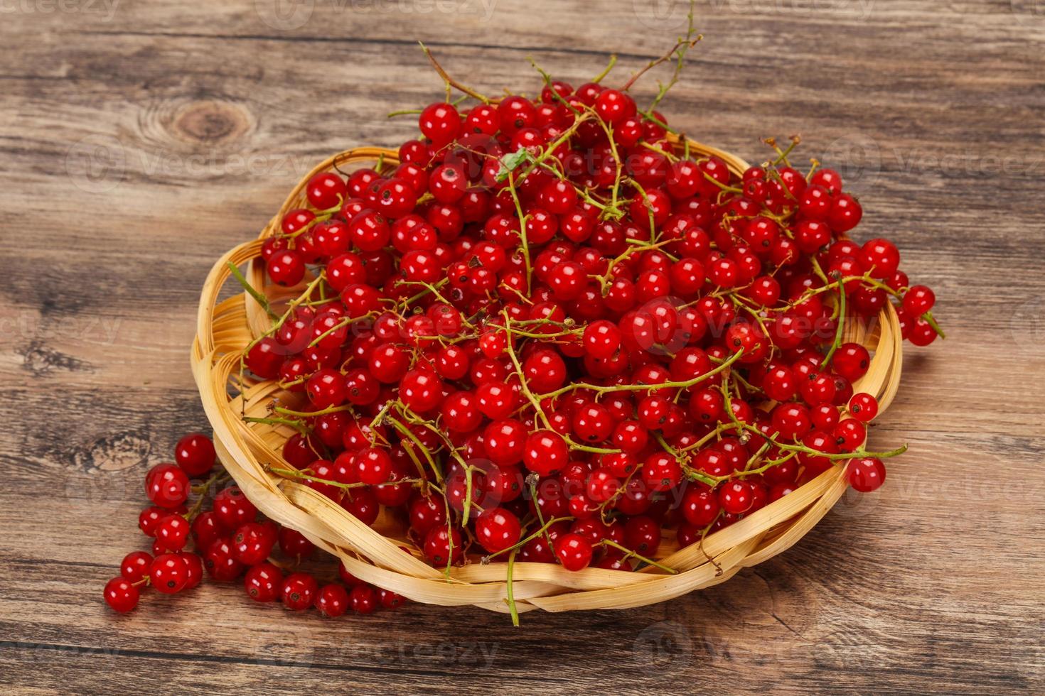 Sweet tasty fresh Red currant photo