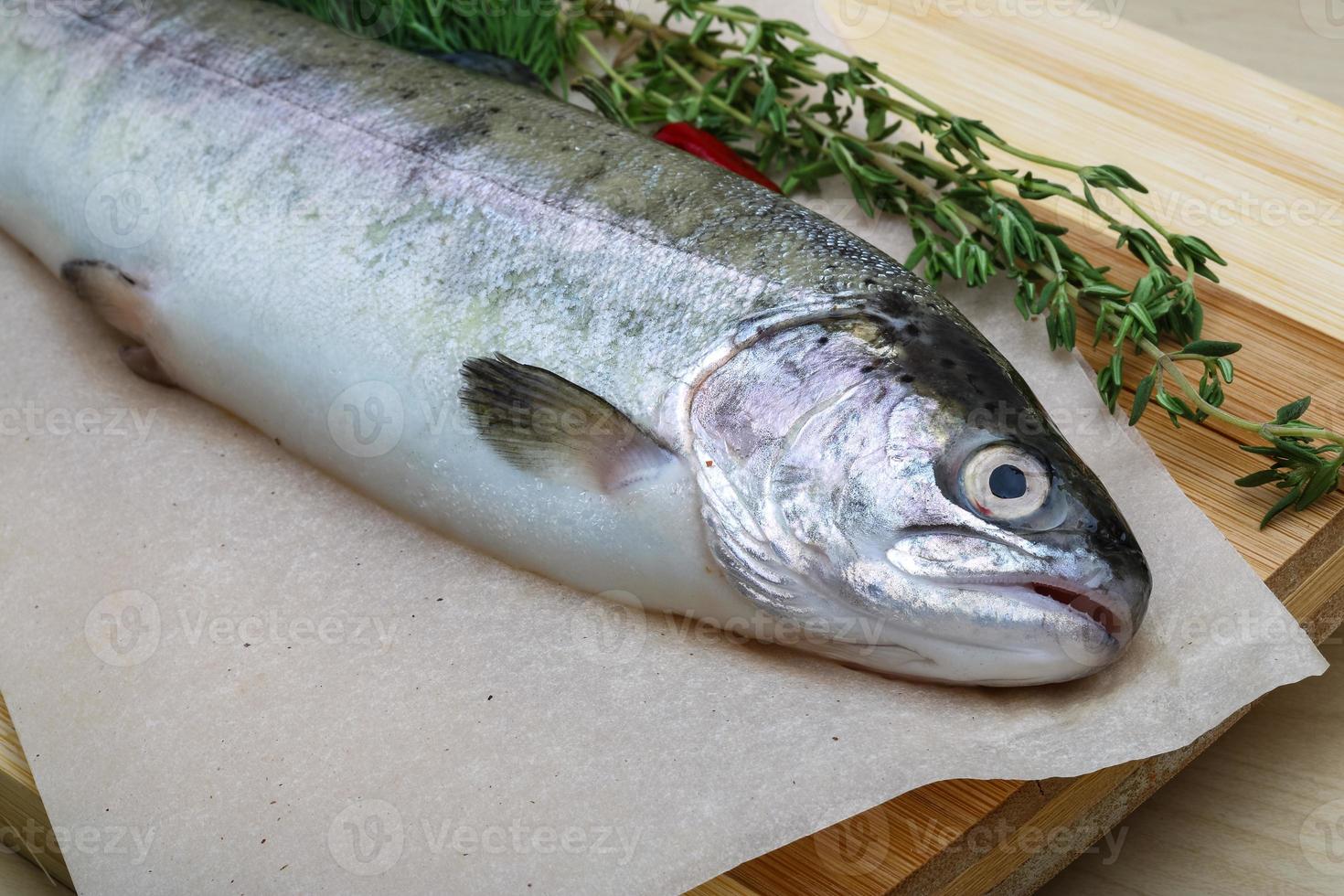 Raw trout on a board photo